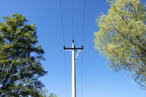 what to do for a downed power line
