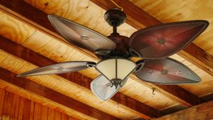 tristar electric paddle fans