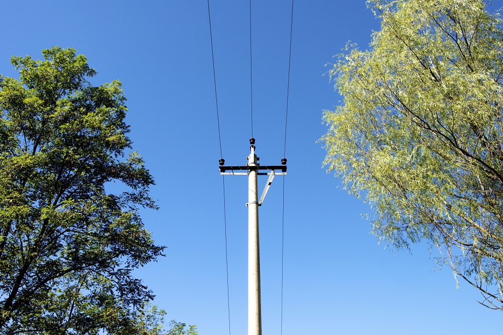 What To Do When You Encounter a Downed Power Line - Tri Star Electric